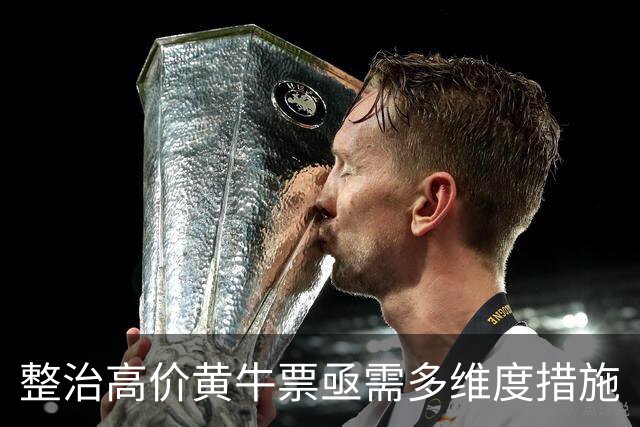 整治高价黄牛票亟需多维度措施